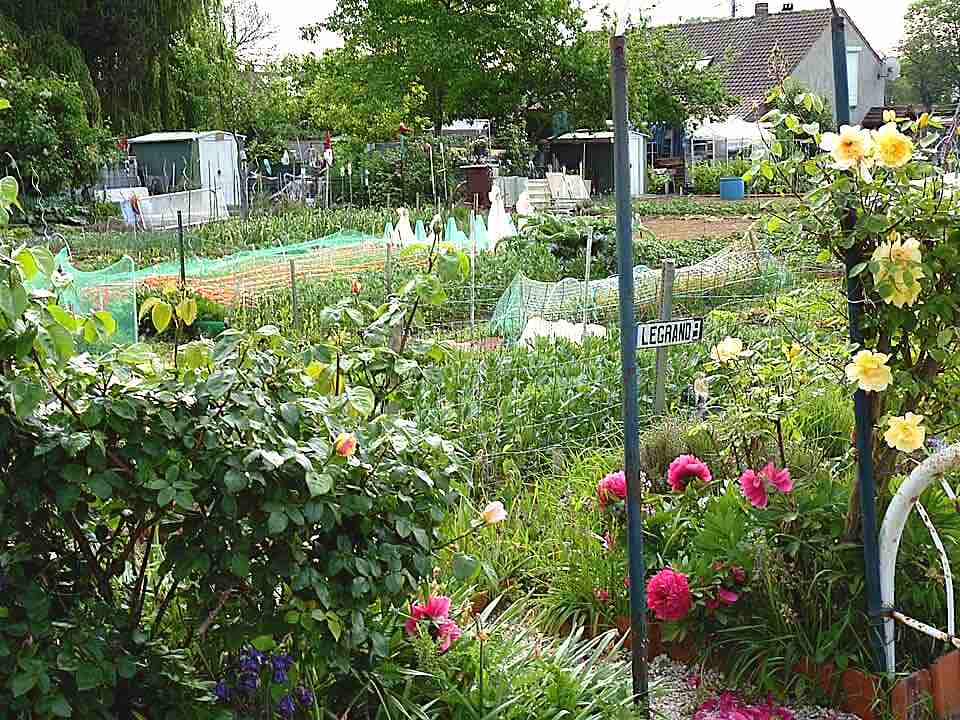 Jardins ouvriers à Wattrelos